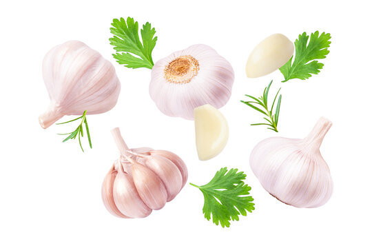 set of garlic with parsley leaf isolated on white background.