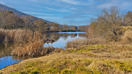 River flowing through a peaceful natural landscape in winter