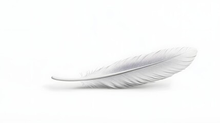 Floating Feather - Symbol of Peaceful and Light-Filled Mind in Soft White and Grey Tones