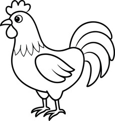 Coloring book Rooster line art illustration 