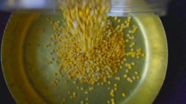 Closeup of Split pigeon pea, Red lentils organic grains