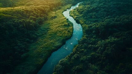 An aerial view of a rainforest river its surrounding greenery turning brown from deforestation and pollution.