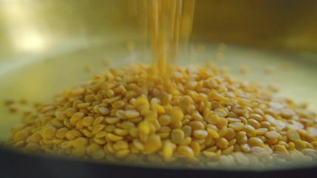 Closeup of Split pigeon pea, Red lentils organic grains