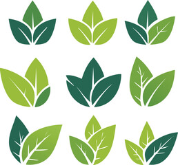 Set of green leaves on white background