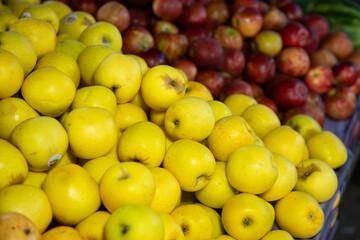 Fresh apple stall at the Abastos market in Oaxaca, Mexico.