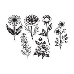 A versatile vector flowers set featuring a mix of simple and detailed floral designs, ideal for branding and artistic projects.