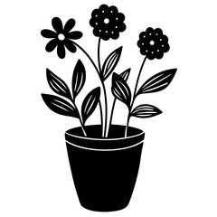 flowers in a pot