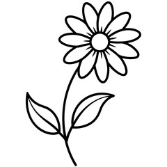 white flower isolated on black