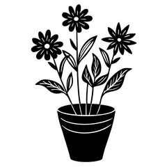 flower in a pot