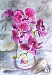 Watercolor still life with phalaenopsis orchid in a vase on a gray background, print for a poster, postcard, etc.