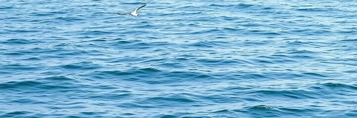 Naklejka premium Calm ocean with gentle waves and seagulls, wave patterns, oceanic views