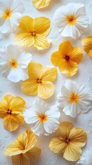 Obraz premium Bright yellow and white flowers arranged beautifully on a pastel surface in natural light