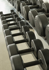 Fototapeta premium Rows of Dumbbells on a rack in the fitness or gym. Perspective view of Black dumbbells, Weight Training Equipment, use it as your Wallpaper, Poster and Space for text, Selective focus.