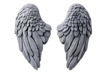 Pair of gray angel wings, detailed feathers.