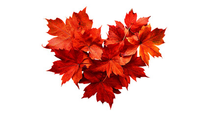 Red maple leaves forming a heart shape isolated on a transparent background, png image, cut out