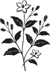 Isolated black flower icon Vector, black flower Silhouette,black flower icon set, black flower for logo,color black flower Vector illustration, Vector Graphic, EPS 10 , clip art work