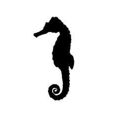 Fototapeta premium seahorse silhouette - vector illustration