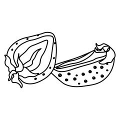 Outline of strawberry halves coloring page with healthy fruit for creativity and design