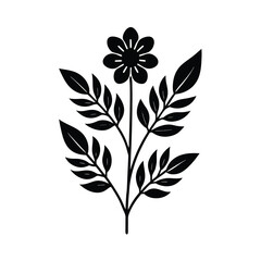 black and white flowers