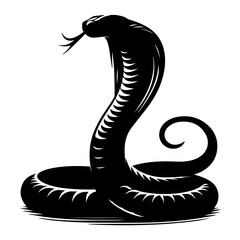 Fototapeta premium King Cobra black Silhouette the white background
