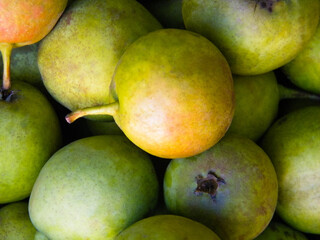 lots of green ripe pears