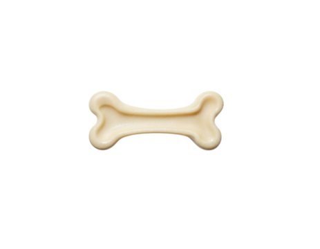 dog bone isolated on white