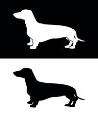 Dachshund dog isolated on black and white background. Vector black silhouette 