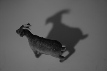 Monochrome top view o a plastic goat toy with a shadow on a table