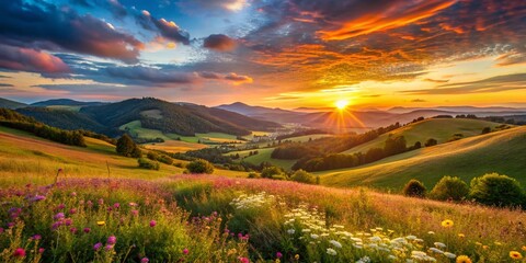 Fototapeta premium Panoramic Gratitude: Sunlit Landscape Expressing Thankfulness