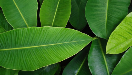 Abstract tropical leaves pattern in shades of green with depth
