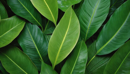 Abstract tropical leaves pattern in shades of green with depth