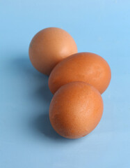 fresh chicken eggs on a blue background