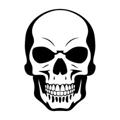 Fototapeta premium Skull Vector Illustration: Black and White Graphic of Human Skull, Halloween, Death Symbol, Anatomy Art, Clip Art, Spooky Design