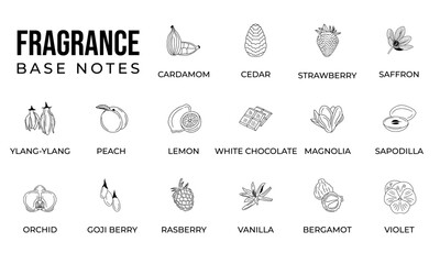 Vector set line icon aromatic notes perfume