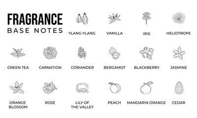 Vector set line icon aromatic notes perfume