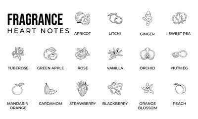 Vector set line icon aromatic notes perfume