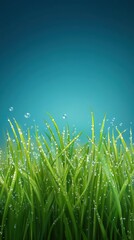 Obraz premium Morning dew on fresh spring grass, flat design illustration