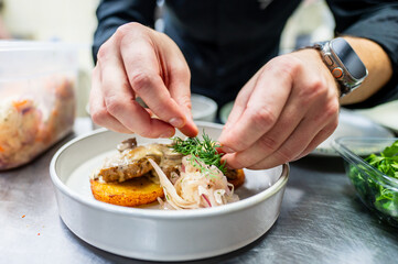A chef skillfully garnishes a plated dish with fresh herbs and toppings. The focus is on hands meticulously adding ingredients, showcasing culinary artistry in a professional kitchen setting.