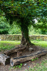 Ruins of Kvetera fortress city in the Georgian Caucasus mountains