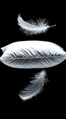 White Pillow and Two Delicate White Feathers Float
