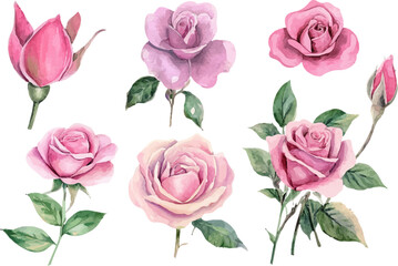 seamless pattern with pink roses