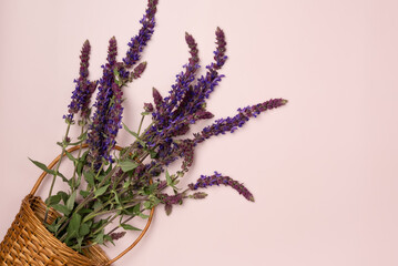 Mint flowers in basket on pink background. Flat lay, top view.