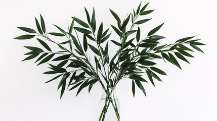 Fototapeta premium of bamboo leaves arranged in a minimalist vase, emphasizing simplicity and elegance in an Asian-themed setting Bamboo leaves 