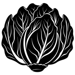 Radicchio isolated on white