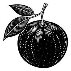 illustration of a Tangerine fruit