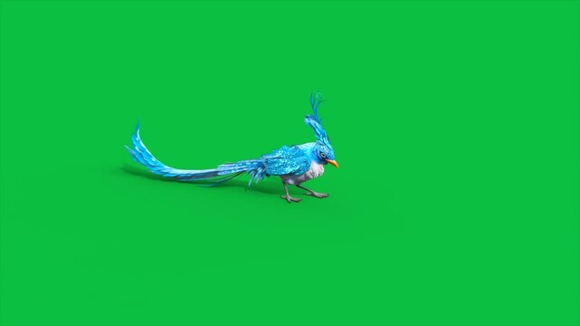 4K Green Screen Blue Bird Eating 3D Animations Animals Rendering CGI