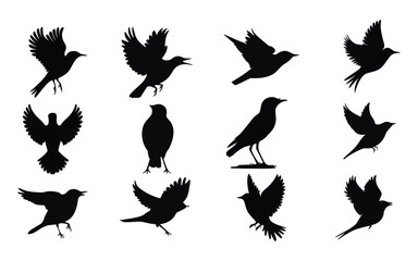 Bird Silhouettes Collection