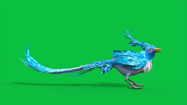 4K Green Screen Blue Bird Eating Loop 3D Animations Animals Rendering CGI