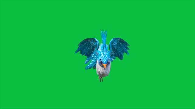 4K Green Screen Blue Bird Fly Front Loop 3D Animations Animals Rendering CGI