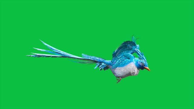 4K Green Screen Blue Bird Fly Loop 3D Animations Animals Rendering CGI